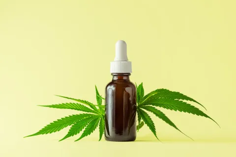The Miracle of CBD Oil: Transforming Lives